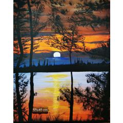 sunset in the forest