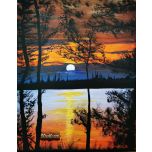 sunset in the forest