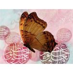 روح الخلق